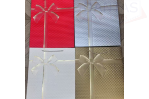 SACOLA PARA PRESENTE C/ 12 UNIDADES