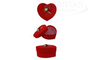 CAIXA DE PRESENTE C/ 6 UNIDADES