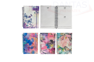 AGENDA PARA O ANO 2026  160 PÁG. 21*14.5CM