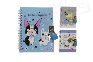 Diario caderno capa dura com cadeado 46 folhas